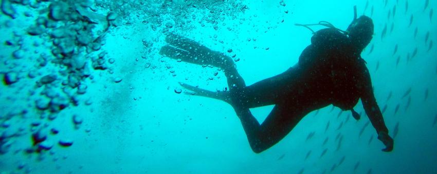 Diving off the Gravel Loader, Bass Point Shellharbour.