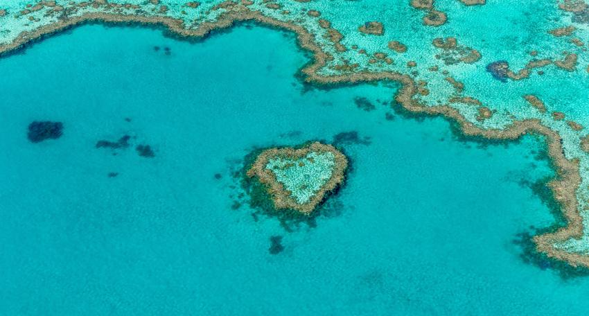 Heart Reef