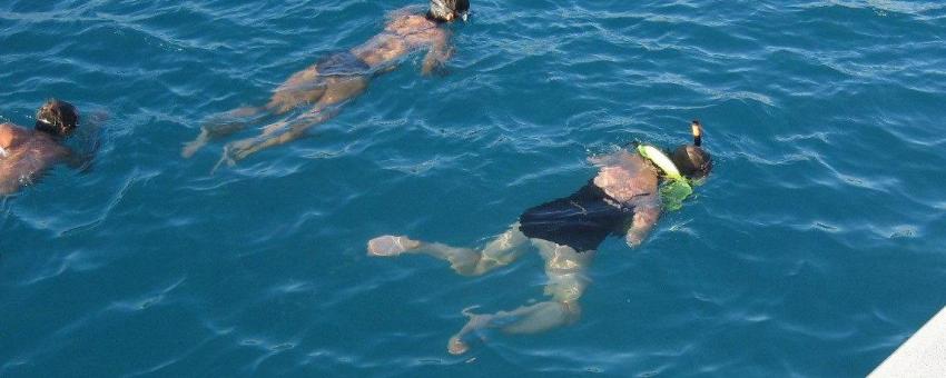 Jane Goes Snorkelling