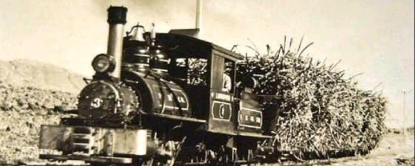 Zuckerrohr-Lokomotive Nr. 3 der Barbados Railway Company