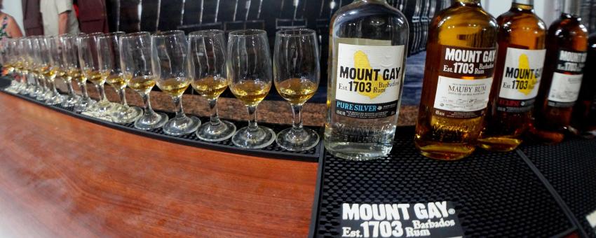 Mount Gay Rum Tasting