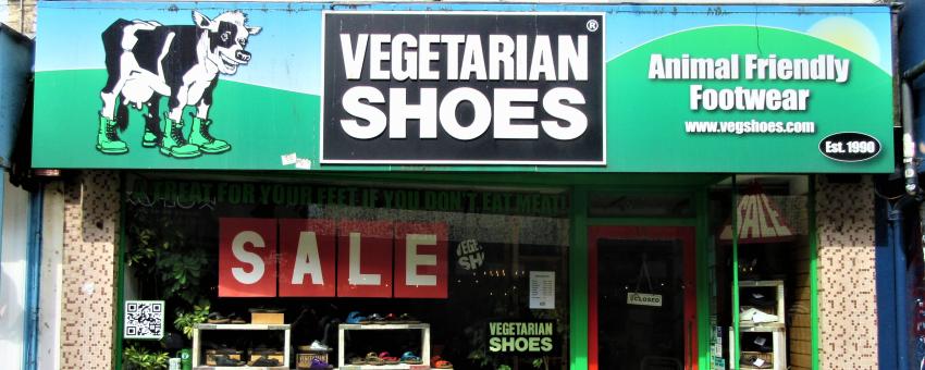 Vegetarian Shoes