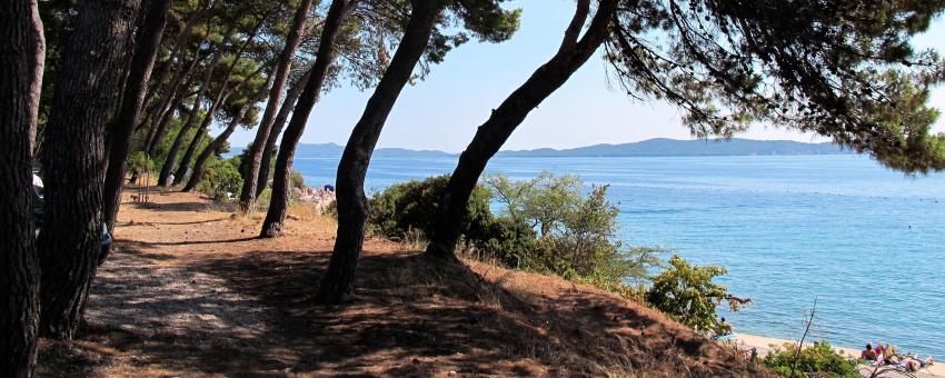 Zadar