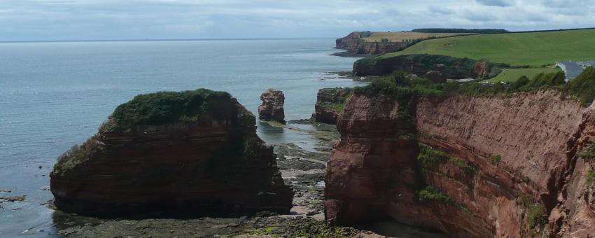 Ladram Bay