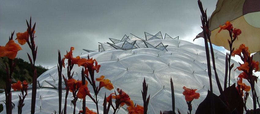 Eden Project dome