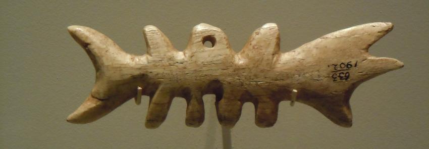 Caribou Antler Map