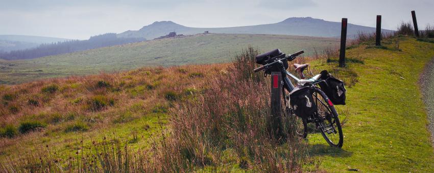 Walkhampton Common, Dartmoor