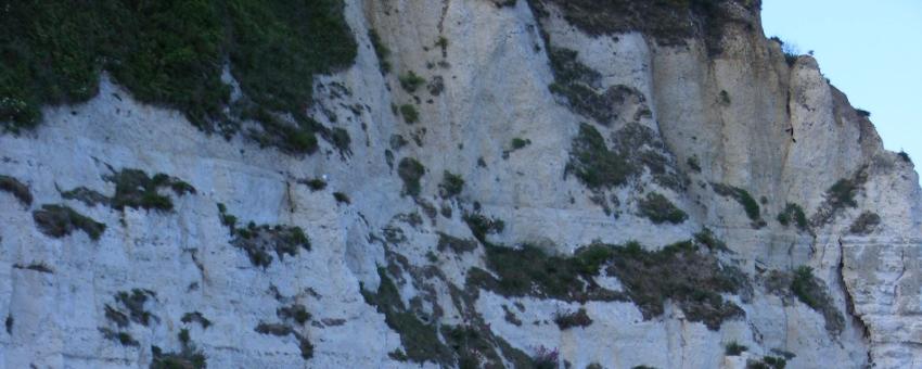 Cretaceous Chalk Cliffs, Beer Devon.