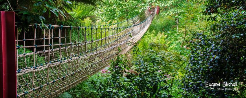 Rope Bridge