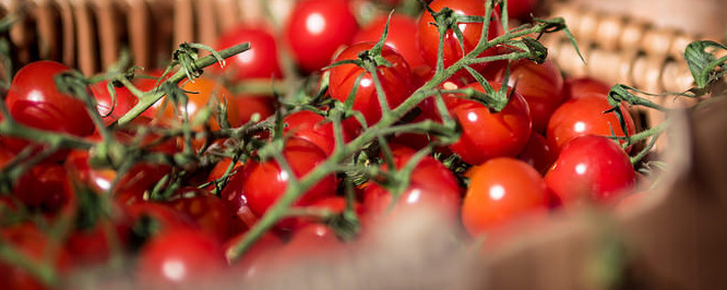 Tomatoes and Mushrooms