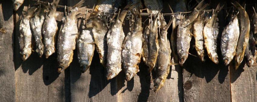 Local Food - Lake Peipsi Local Food - Lake Peipsi