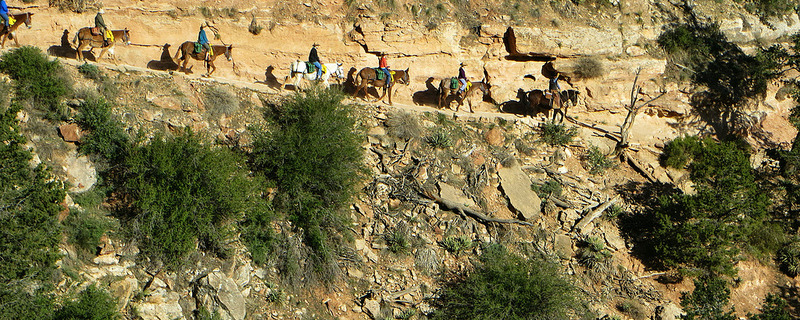 Grand Canyon Arizona USA - 036 Bright Angel Trail