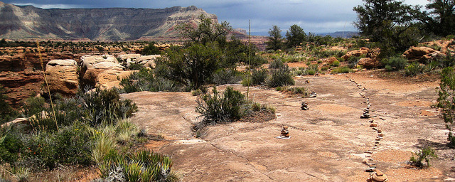 Saddle Horse Canyon Overlook
