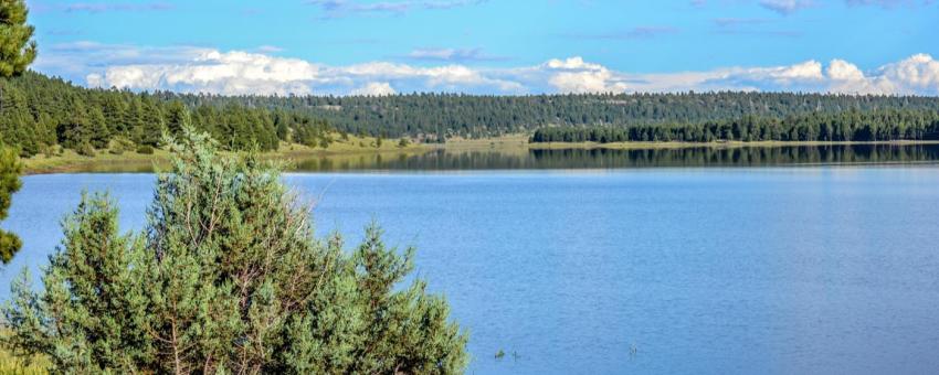 Lakeview-1