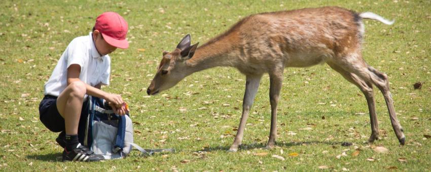 Nara, Japan