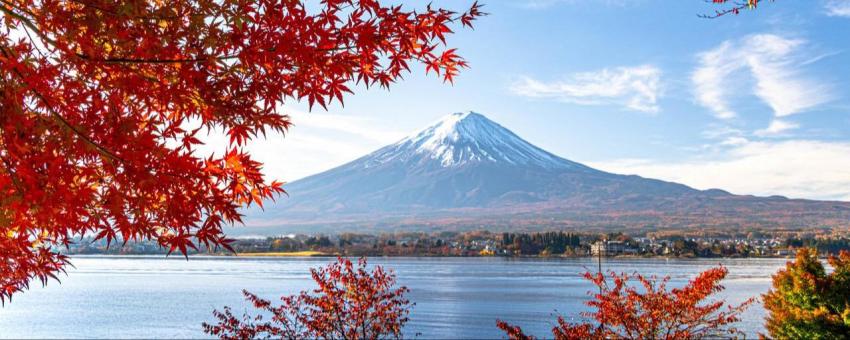 Mt.Fuji and autumn leaves on the shore of Lake Kawaguchi Yamanashi