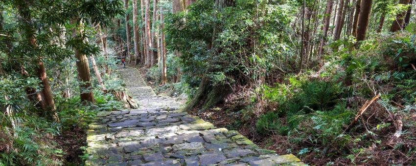 熊野古道, 熊野三山, 紀伊山地的聖地及朝聖路, 世界遺產, 文化遺產, 和歌山, 日本, くまのこどう, 熊野参詣道, くまのさんざん, 紀伊山地の霊場と参詣道, きいさんちのれいじょうとさんけいみち, わかやまけん, にっぽん, にほん, Kumano Kodo, UNESCO World Heritage Site, Wakayama, Japan, Nippon, Nihon