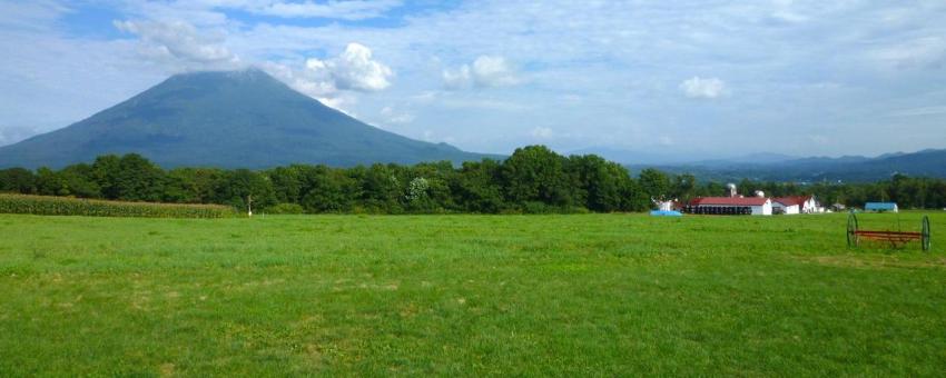 ミルク工房からの羊蹄山