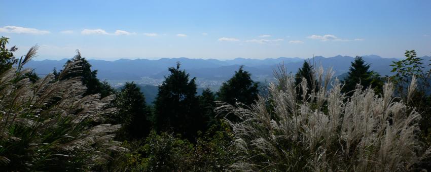 View from Mt. Mitake