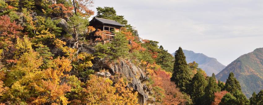 Yamadera autumn