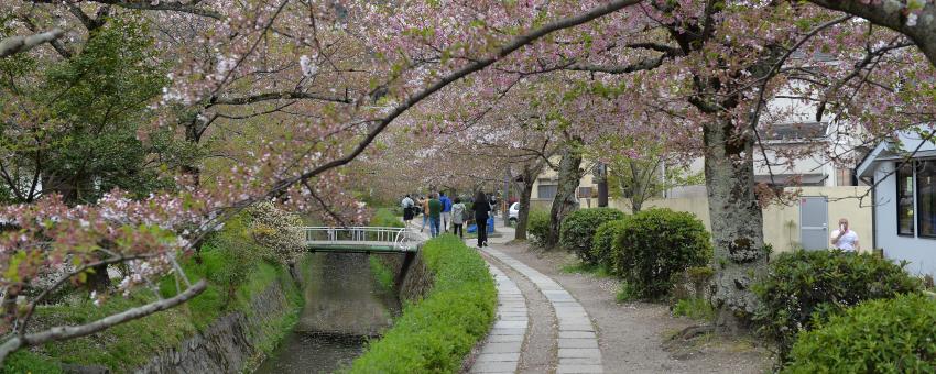 The Philosophers Walk is about 2km long and runs along a canal