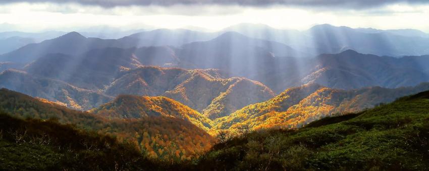 Shirakami Sanchi, Japan