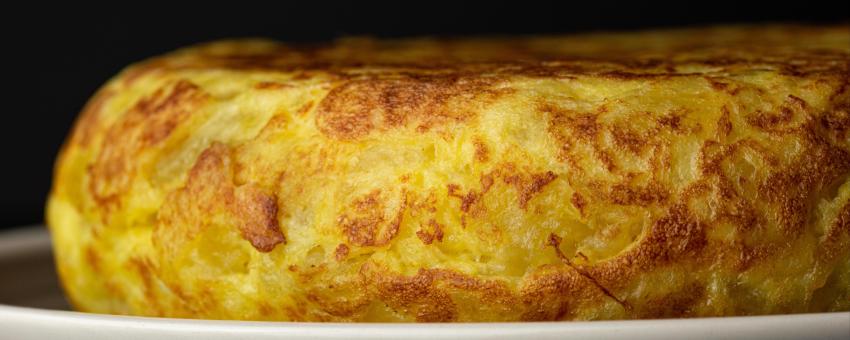 Pez Tortilla Pez Tortilla