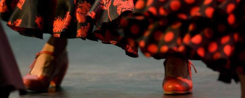 Flamenco Flamenco