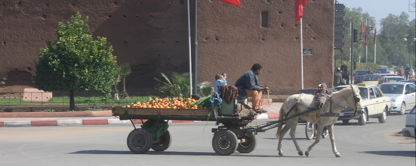 mule cart on Bd el Yarmouk at Bab Knob