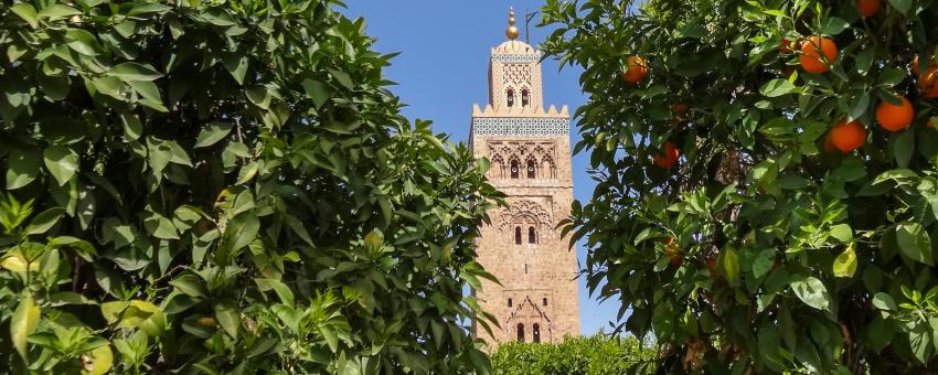 Marrakech March 2014