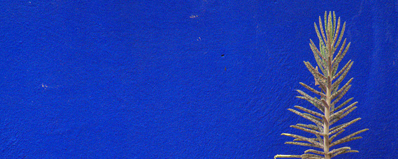 Bleu Majorelle Bleu Majorelle