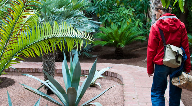 Promenade au Jardin Majorelle