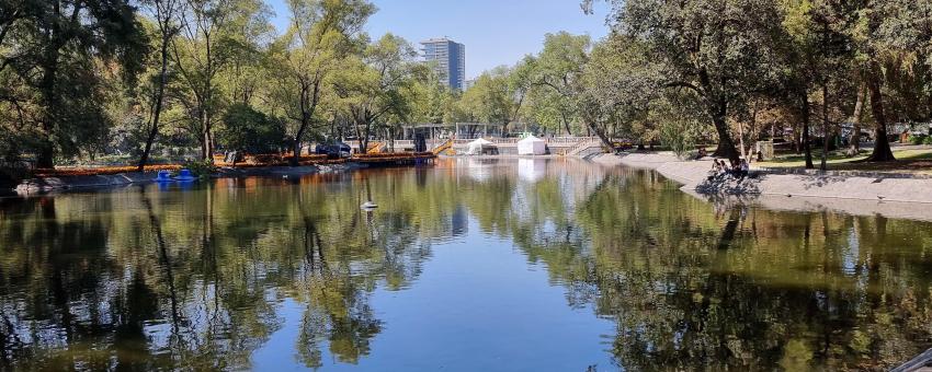 First Section of the Bosque de Chapultepec