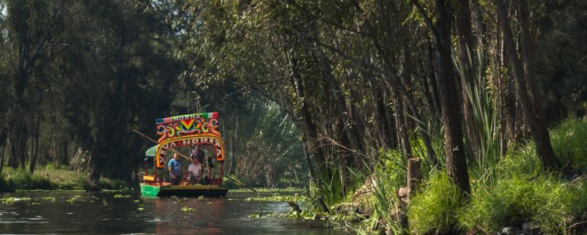 Xochimilco. 2016.