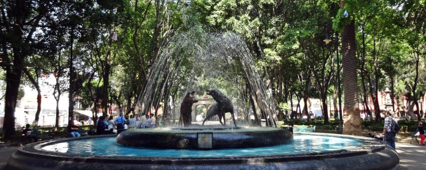 Plaza Hidalgo  Fountain Coyoacan Mexico City