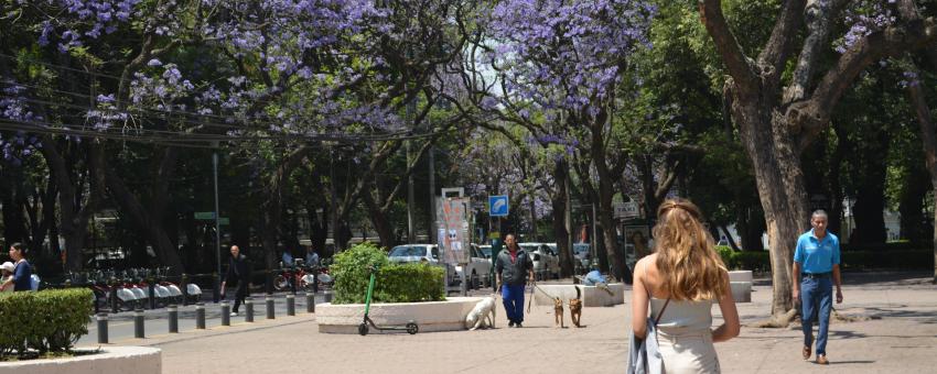 Mexico City 29 March 2019 (42)