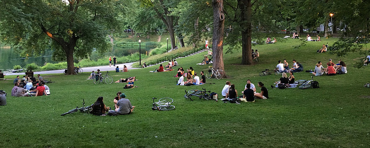 montreal: evening in parc la fontaine