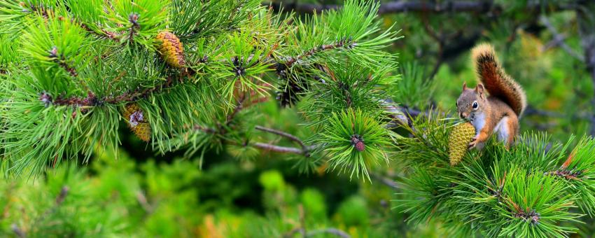 Seasons, Festivals, & Events