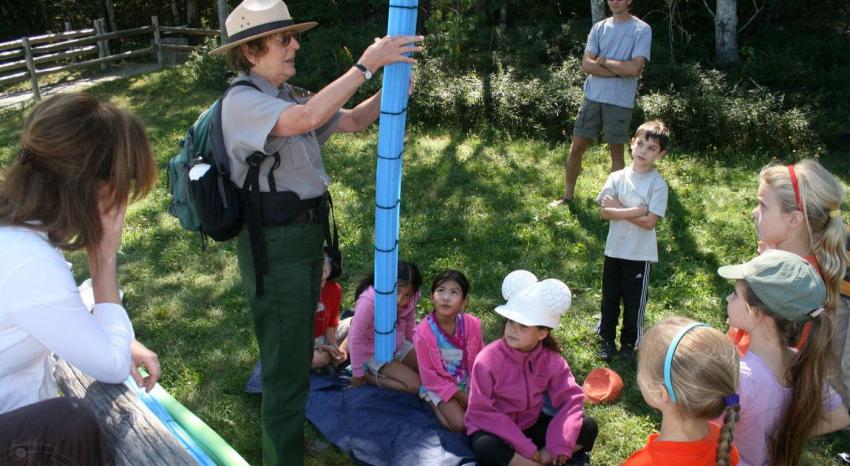 acadia dragonfly education program