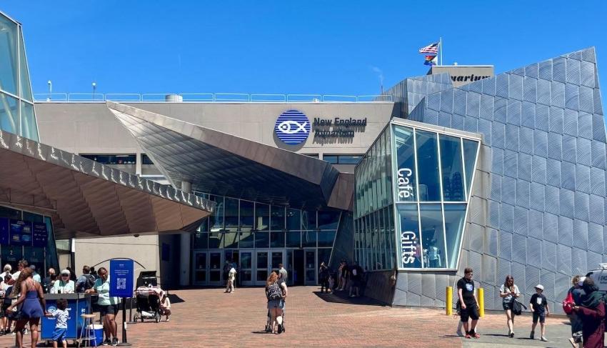 New England Aquarium