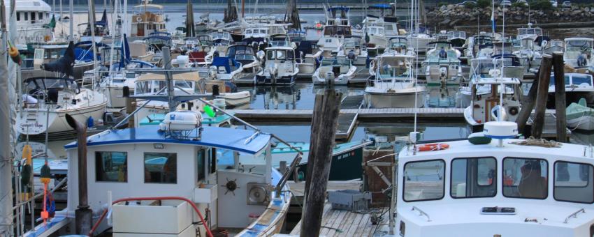 Wharf in Freeport, Maine