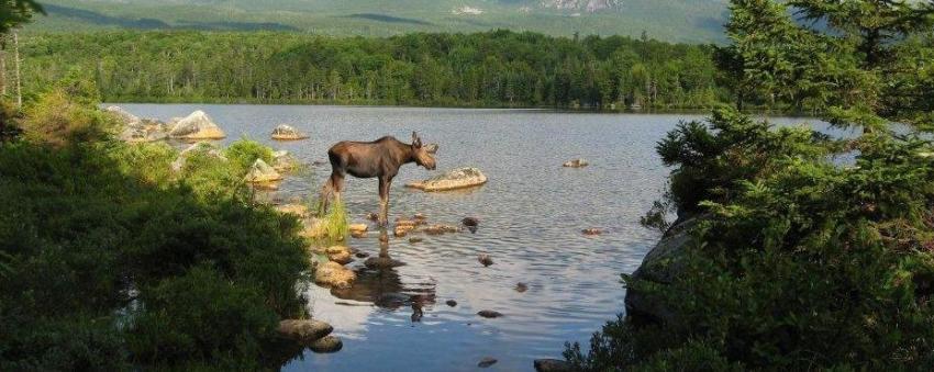 andy Stream Pond in Baxter State Park, Maine
