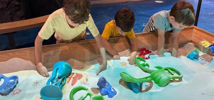 Living Shores Aquarium