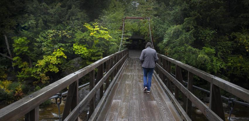 White Mountain National Forest