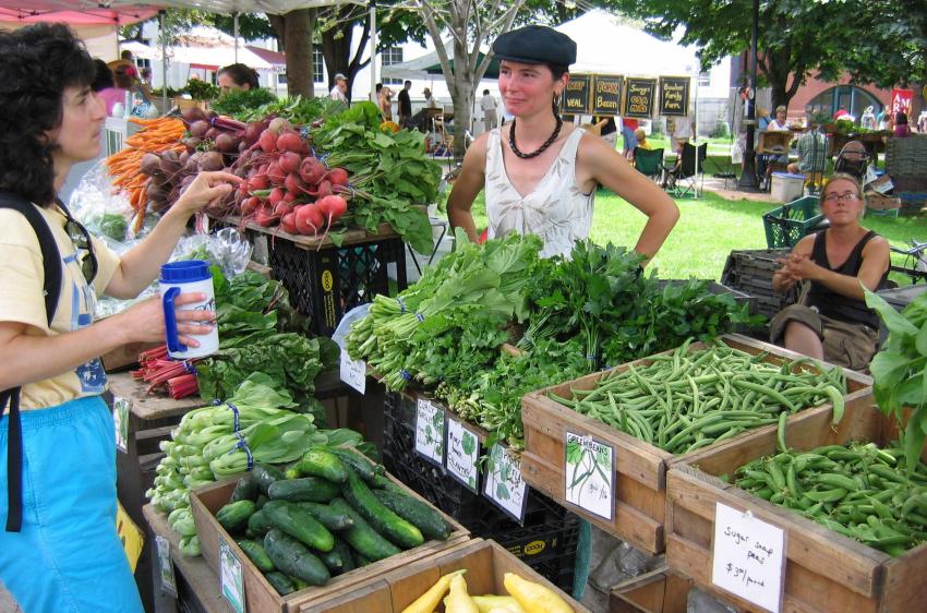 Burlington Farmers Market, City Hall Park, Burlington Vermont