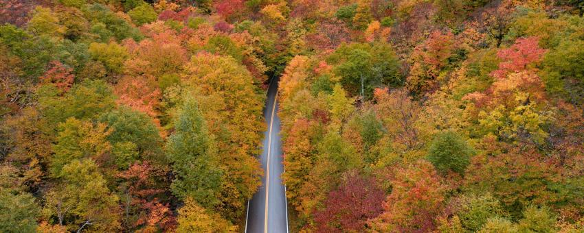 Fall Foliage Smuggler's Notch Vermont 2020