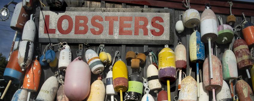 Lobster buoys -    Bar Harbor    Maine