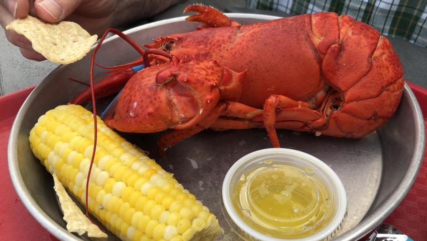 Lobster and corn as served in Thurston's Lobster Pound