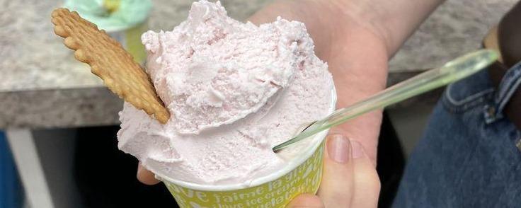 Grapefruit in the front, Mint chip in the back