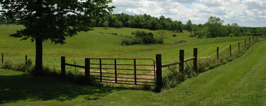 Fenced in green pasture with red gate and clouds